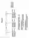 Fig. 17 - Apparatus for recording and regenerating data