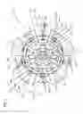 Fig. 02 - Vehicular lamp including hemispherical translucent member with fan-shaped zones and lens elements