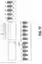 Fig. 10 - Programmable resistor eraseless memory
