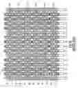 Fig. 03 - Segmented non-volatile memory array with multiple sources having improved source line decode circuitry