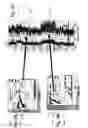 Fig. 07 - Slowness-frequency projection display and animation