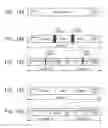 Fig. 09 - Recording apparatus and recording method