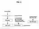 Fig. 06 - Processing transport format information to prevent MAC header redundancy