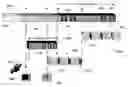 Fig. 01 - Media stream splicer