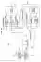 Fig. 20 - PN code generator, GOLD code generator, PN code despreader, method for generating PN code, method for generating GOLD code, method for despreading PN code and computer program