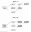 Fig. 08 - System, method and program product for anonymous transfer of messages