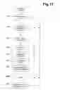 Fig. 16 - Internet-audiotext electronic advertising system with respondent mailboxes
