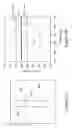 Fig. 19 - System and method of providing mask defect printability analysis