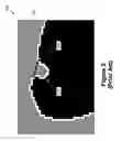 Fig. 03 - Using corner pixels as seeds for detection of convex objects