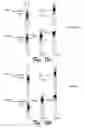 Fig. 16 - Barbell lifting for multi-layer wavelet coding
