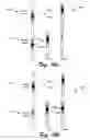 Fig. 17 - Barbell lifting for multi-layer wavelet coding