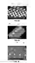 Fig. 06 - Methods of producing cermet materials and methods of utilizing same