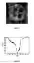 Fig. 06 - Responsive paramagnetic MRI contrast agents