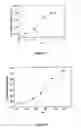 Fig. 08 - Responsive paramagnetic MRI contrast agents