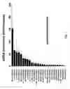 Fig. 04 - Methods for producing Ex vivo models for inflammatory disease and uses thereof