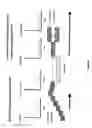 Fig. 06 - Method for short-term and long-term drug dosimetry