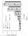 Fig. 03 - Methods of treating various cancers using melanoma differentiation associated protein-7