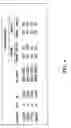 Fig. 02 - Immune regulation