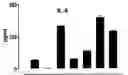 Fig. 01 - Vaccine and immunotherapy for solid nonlymphoid tumor and related immune dysregulation