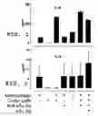 Fig. 02 - Vaccine and immunotherapy for solid nonlymphoid tumor and related immune dysregulation