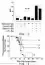 Fig. 03 - Vaccine and immunotherapy for solid nonlymphoid tumor and related immune dysregulation