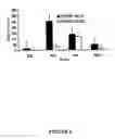 Fig. 08 - Identification of epitopes on staphylococcal enterotoxins