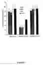 Fig. 09 - Identification of epitopes on staphylococcal enterotoxins