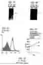 Fig. 06 - genomic sequences and methods of their use