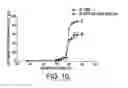 Fig. 08 - Temperature-sensitive liposomal formulation