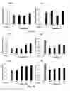 Fig. 07 - Use of propargylamine as neuroprotective agent