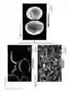 Fig. 04 - Method of manufacturing chemical-containing composite particles