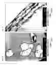 Fig. 06 - Method of manufacturing chemical-containing composite particles