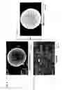 Fig. 07 - Method of manufacturing chemical-containing composite particles