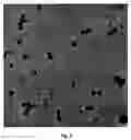 Fig. 03 - Water soluble nanoparticles and method for their production