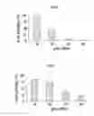 Fig. 06 - Device and method for treatment of wounds with nitric oxide