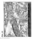 Fig. 22 - Enhanced fiber additive; and use