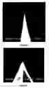 Fig. 02 - Selective functionalization of carbon nanotube tips allowing fabrication of new classes of nanoscale sensing and manipulation tools