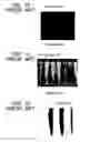 Fig. 08 - Optical retardation plate and method of manufacturing the same
