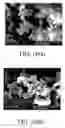 Fig. 10 - Polymer coating/encapsulation of nanoparticles using a supercritical antisolvent process