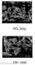 Fig. 20 - Polymer coating/encapsulation of nanoparticles using a supercritical antisolvent process