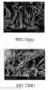 Fig. 22 - Polymer coating/encapsulation of nanoparticles using a supercritical antisolvent process