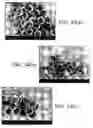 Fig. 33 - Polymer coating/encapsulation of nanoparticles using a supercritical antisolvent process