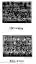 Fig. 40 - Polymer coating/encapsulation of nanoparticles using a supercritical antisolvent process