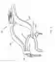 Fig. 09 - Dental instrument