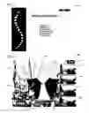 Fig. 03 - Method and apparatus for automated training of language learning skills