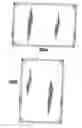 Fig. 07 - White board and white board display system