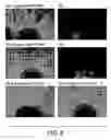 Fig. 09 - Pramyxovirusl vectors encoding antibody and utilization thereof
