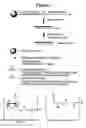 Fig. 02 - RNA interference mediated inhibition of human immunodeficiency virus (HIV) gene expression using short interfering nucleic acid (siNA)