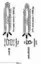 Fig. 03 - Compositions, methods and kits for detection of an antigen on a cell and in a biological mixture