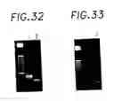 Fig. 47 - Nucleic acid cloning